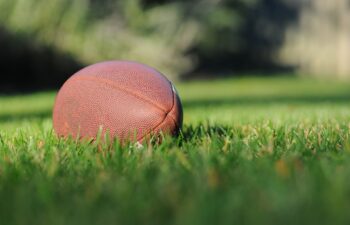 football lying in the grass