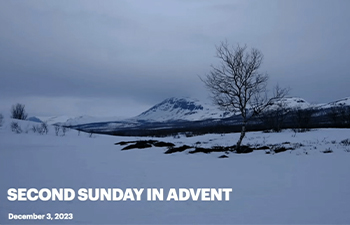 picture of snowy field with tree and mountain