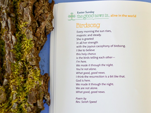 a picture of the poem "Birdsong"
