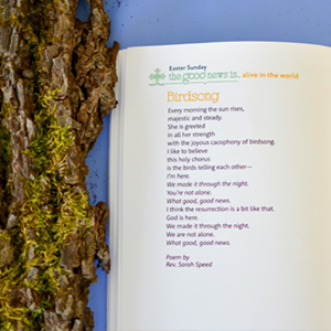 a picture of the poem "Birdsong"